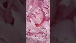 ‼️Новая парфюмерная вода🔥