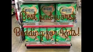 Best and Worst Bedding for Pet Rats