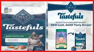 Quality product -  Blue Buffalo Multi-Cat Natural Adult Chicken & Turkey Dry Cat Food