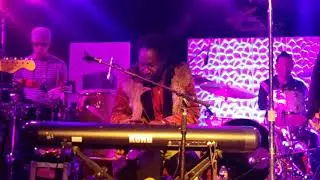 Ozomalti 2018 Enchanted Forest Gathering
