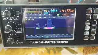 Тюльпан DSP проверка ДПФ