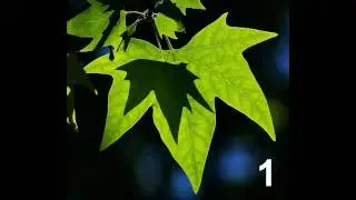 ALG II │Eingliederungsvereinbarung 1