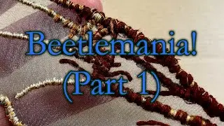 Beetlemania! (Embroidery Experiment) - Part 1