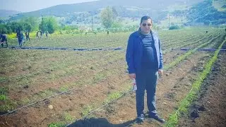 من يقف وراء عائلة  عبودي باديس في قالمة ؟