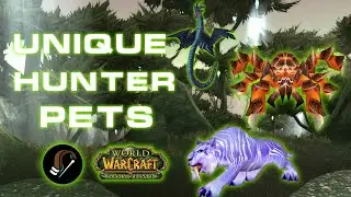 Unique Hunter Pets in WoW TBC Classic // Be different, Be Unique