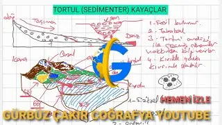 TORTUL (SEDİMENTER) KAYAÇLAR #gürbüzçakırcoğrafya #tortulkayaçlar