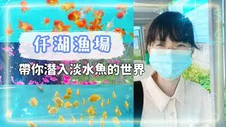 【今天去哪玩】新加坡旅遊 | 仟湖漁場 | 新加坡旅遊｜Qian Hu Fish Farm
