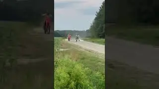 2023 crf250r vs kx250 2 stroke