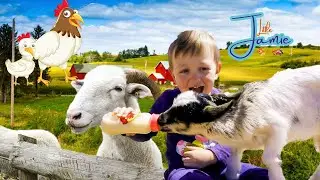 Best Animal Encounters With Little Jamie |  Awesome Stories For Kids