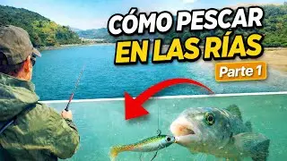 C&oacute;mo pescar lubinas en R&iacute;as  en INVIERNO (Parte 1)