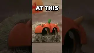 Lucas is SPOOKED by All of His Friends! #LucastheSpider