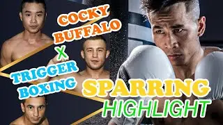 Trần Văn Thảo vs Cocky Buffalo. Highlight buổi sparring giữa Cocky Buffalo v&agrave; Trigger Boxing.