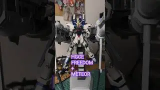 Best SEED gunpla display ever #gunpla #gundamseed #freedomgundam #gundam #hgce #shorts #fypシ