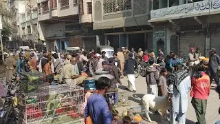 Hyderabad bird market 2nd jun