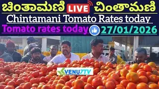 #27/01/2026 #today Chintamani tomato rates #Chintamani tomato market rates #tomato rates #Venu7tv 