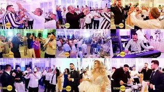 Culita Sterp in Albania - Orkestra Romune ben show ne dasmen shqiptare |Algert & Xhuljana