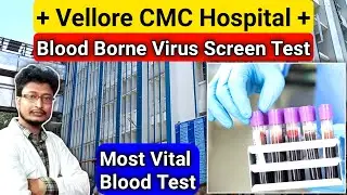 Blood Borne Viral Screen Test In Hindi | CMC Blood Test Report | Vellore CMC Hospital