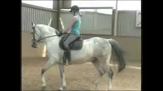 Mach mal 'ne Biege - Der Sitz des Reiters während der Biegung