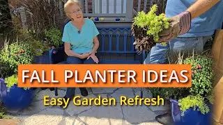 Revive Your Garden Planters NOW!