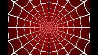 Kevin Manthei - Spidey Training