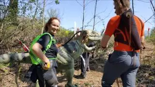 3D Bogen Parcours Test BSV Kremstal April 2017