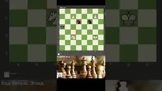 #Шахмат. Ход белых. #ЭТЮД. #Chess #Etudes