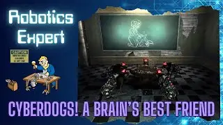 Robotics Expert: Cyberdogs! A Brain's Best Friend