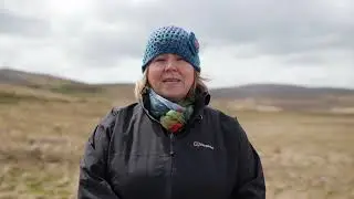 Co-operation Across Borders (CABB): Celebrating Bogs, Birds and Butterflies