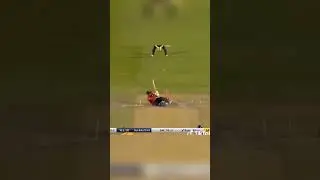 Harry brook Shots Day By Day 💀#cricket #trending #babarazam #viral #viralvideo #viralshorts