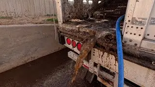 Time to washout (cattle washout ASMR Ep.1
