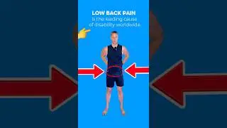 Low back pain is the leading cause of disability worldwide! #seniorfitness #backpain
