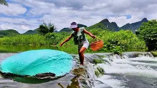 Blue clams appear, knowing there are high-quality pearls, and beautiful women are in a hurry&middot;&middot;&middot;