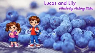 Blueberry Picking At Our House