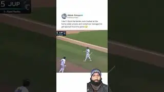 this ejection #baseball #mlb #sports #homerun