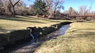 Sick Creek Jump