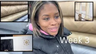 Week 3 | Salon Renovations | Shopping for Flooring | first look at logo design | Redcoco Hair Studio