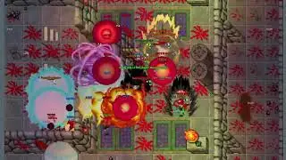 CASTLE DBO KOGA | WODBO KOGA 2026 | NDBO KOGA 2025