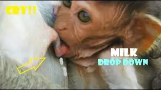 SOUNDS VERY HUNGRY ||, POOR BABY JAYDEN SHOUT VERY LOUDLY REQUEST MILK ||, JADE DROP MILK A LOT.