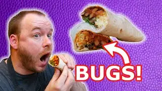 I made a burrito out of BUGS! | Insect recipe kit review
