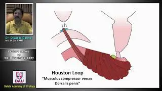 Lecture 4 on male urethrography