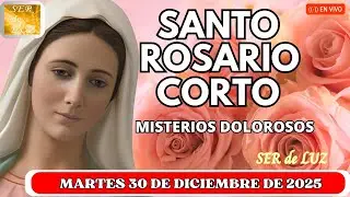 Santo Rosario Corto de Hoy Martes 30 de Diciembre de 2025 ❤️📿 #shorts #viralvideo #viral #video