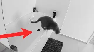 wer k*ckt in meine Badewanne?