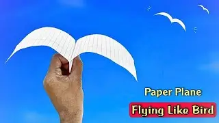 best flying plane like bird, how to make notebook bird plane, paper airplane, best plane,