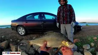 Whitefish Fishing- Sliding float mechanism to catch whitefish/Yellow lake Alberta/vlogger John