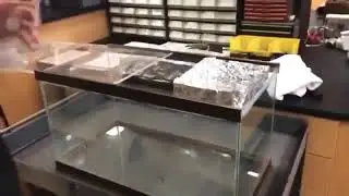 The Invisible Water Effects ❗[Read The Description ] || #AwesomeScience