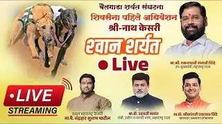 श्रीनाथ केसरी श्वान स्पर्धा LIVE
