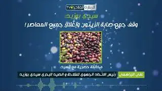 سيدي بوزيد   وقف جمع صابة الزيتون وإغلاق جميع المعاصر