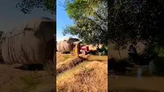 Fully loaded tractor crossing river #tractor #shorts