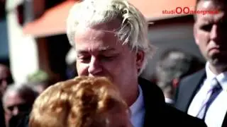 Wilders Wilde Haren