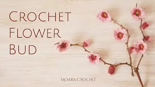 Flower Bud - Moara Crochet